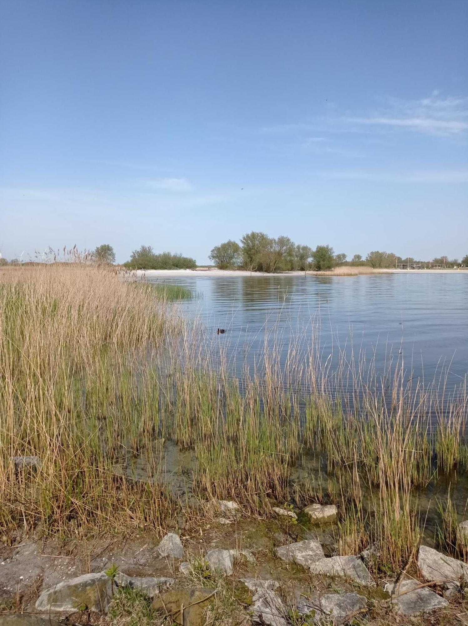 Appartement Ijsselmeer Makkum Strand Εξωτερικό φωτογραφία
